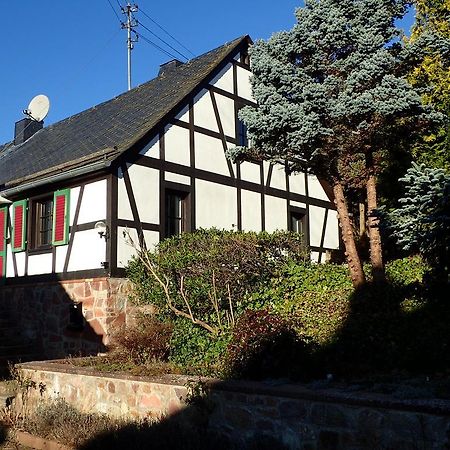 Vakantiehuis Hunsrueck Leisel 외부 사진