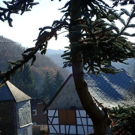 Vakantiehuis Hunsrueck Leisel 외부 사진