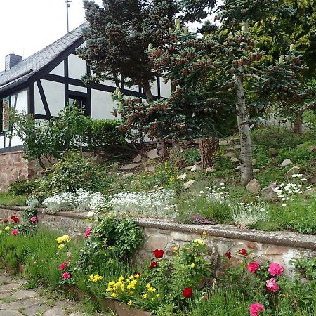Vakantiehuis Hunsrueck Leisel 외부 사진