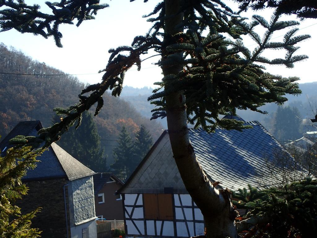 Vakantiehuis Hunsrueck Leisel 외부 사진