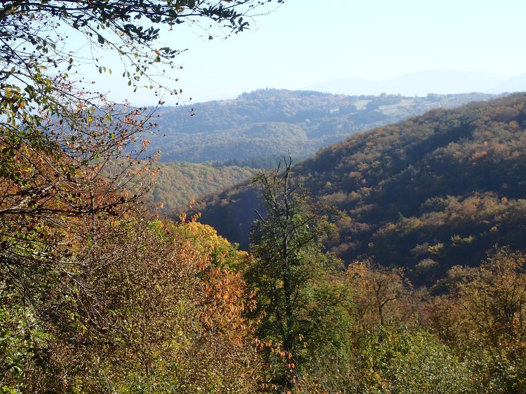 Vakantiehuis Hunsrueck Leisel 외부 사진