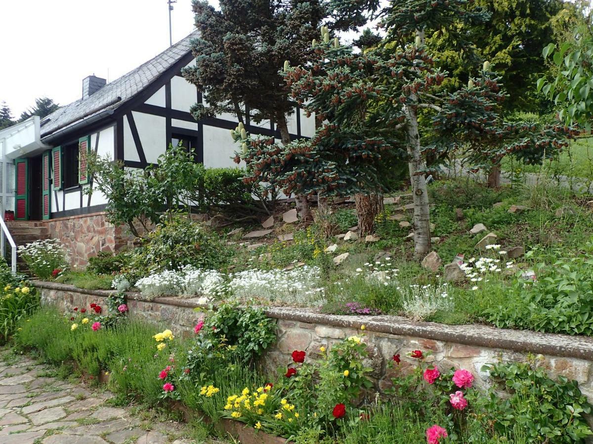 Vakantiehuis Hunsrueck Leisel 외부 사진